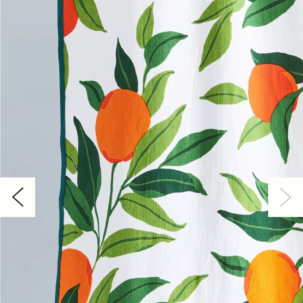Anthropologie Shower Curtain - Printfresh Organic Shower Curtain